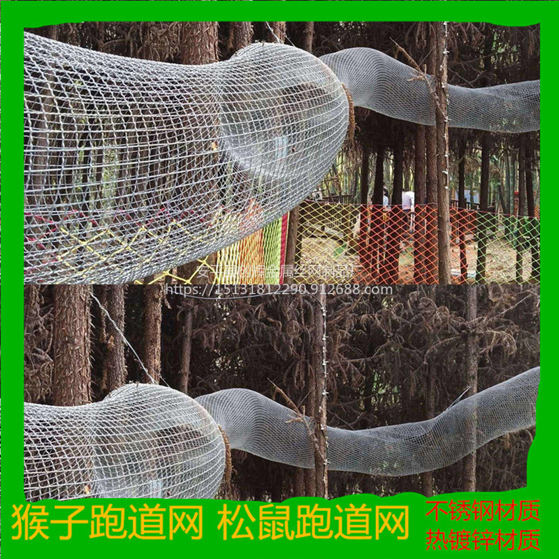 桶状松鼠运动跑步笼松鼠金属网使用说明图片